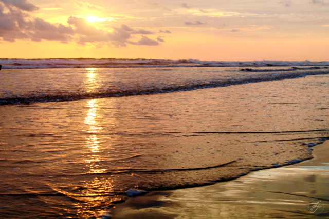 Playa Dominical, Costa Rica
